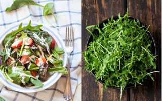 5 изумительно простых и вкусных салатов с рукколой