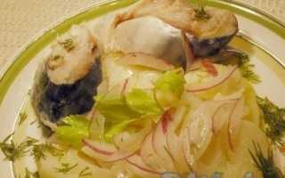 Маринованная скумбрия с луком, маслом и уксусом: доступные рецепты сочного деликатеса