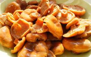 Рыжики с лимонной кислотой: рецепты маринования и засолки