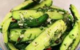 Малосольные огурцы в пакете с чесноком и укропом – быстрые рецепты