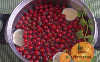 4 рецепта варенья из боярышника: с косточками, яблоками, апельсинами, шиповником. Польза и вред