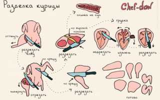 Полуфабрикаты для заморозки из курицы. Заготовки из курицы впрок: рецепты, советы
