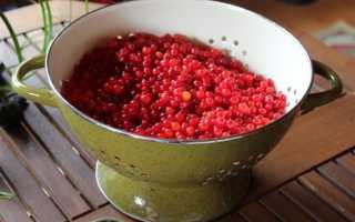 Как Сделать Сироп Из Калины