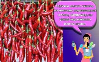 Как хранить острый перец в домашних условиях: лучшие способы