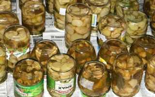 Как мариновать грибы валуи на зиму: рецепты в банках с 9% уксусом