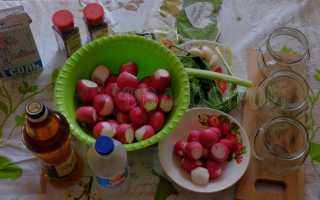 Маринованный редис на зиму: 7 рецептов пикантной закуски