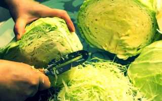 Как заготовить квашеную капусту с медом на зиму вкусно и просто