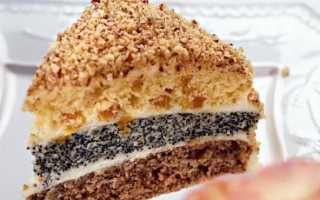 Как приготовить самый вкусный торт Генерал по пошаговому рецепту с фото