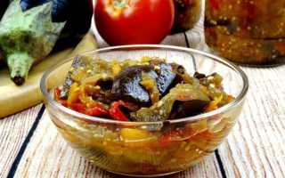 Лечо из баклажанов на зиму: 10 самых лучших и вкусных рецептов приготовления