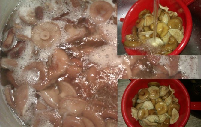 грузди маринованные горячим способом во вкусном маринаде на зиму