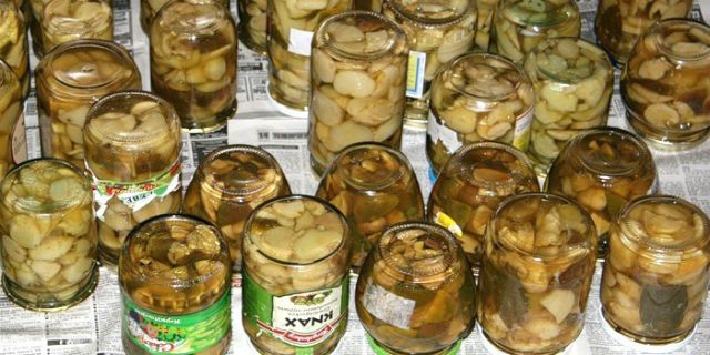 как мариновать грибы валуи на зиму