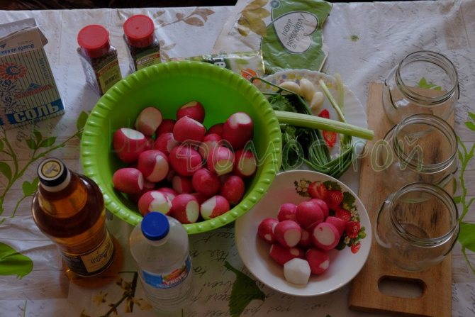 как мариновать редиску на зиму