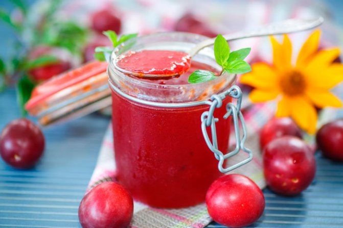 Как приготовить желе из сливы на зиму без косточек