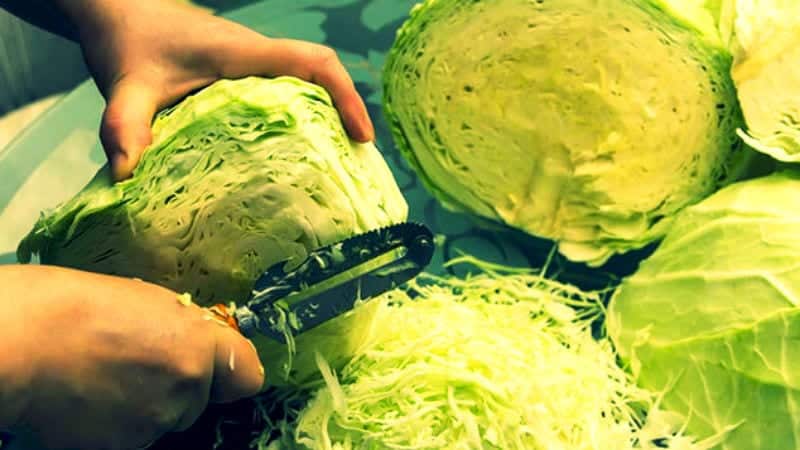 Как заготовить квашеную капусту с медом на зиму вкусно и просто