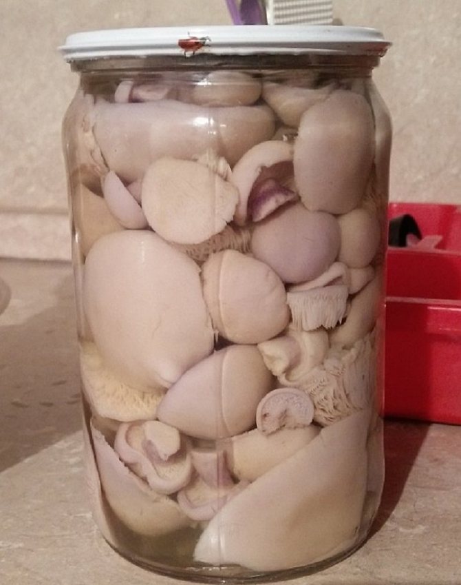 как замариновать синие ножки