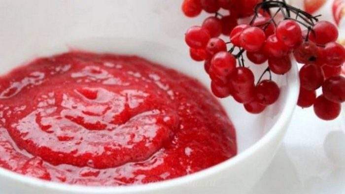 Калина с медом на зиму без варки