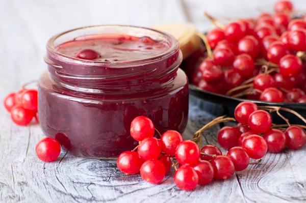 Калина с сахаром на зиму без варки – рецепты