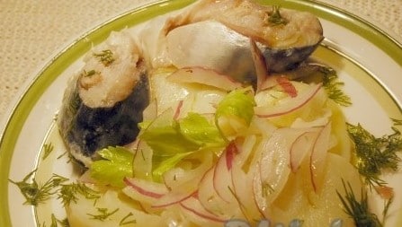 Маринованная скумбрия с луком, маслом и уксусом: доступные рецепты сочного деликатеса