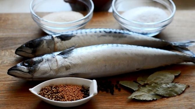 Маринованная скумбрия в домашних условиях: 7 очень вкусных рецептов этап 21