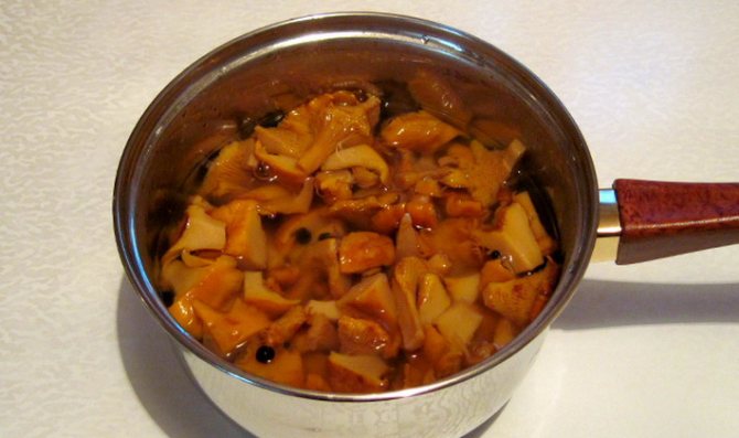 Маринованные лисички