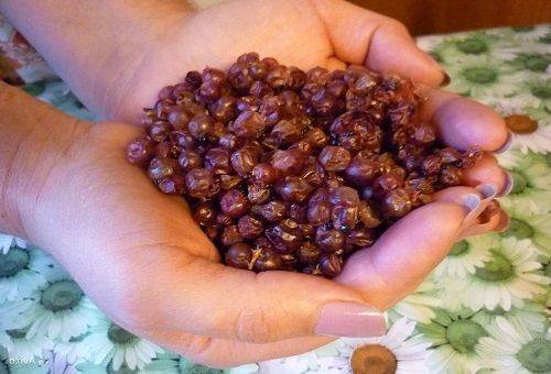 сушеная брусника