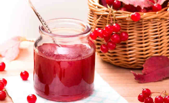 Желе из калины на зиму