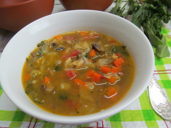 Cуп овощной на курином бульоне. Рецепты с клецками, гречкой, перловкой, гороховый, грибной, сырный