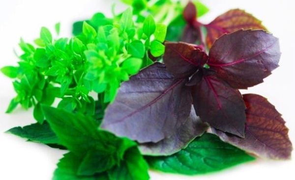 Фо Бо. Рецепты классические с курицей, говядиной, морепродуктами