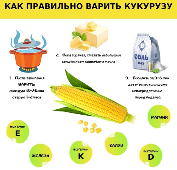 Как варить кукурузу в кастрюле правильно, сколько