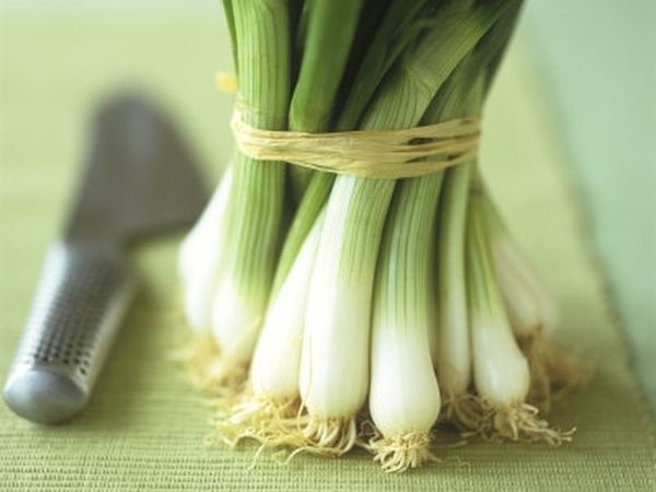 Лук-порей. Как употреблять, готовить, хранить, рецепты с фото