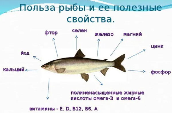 Рыба тушеная с овощами диетическая. Рецепты на сковороде