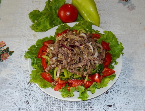 Салат из говядины с болгарским перцем, красным луком, огурцом, помидорами, фасолью, соевым соусом