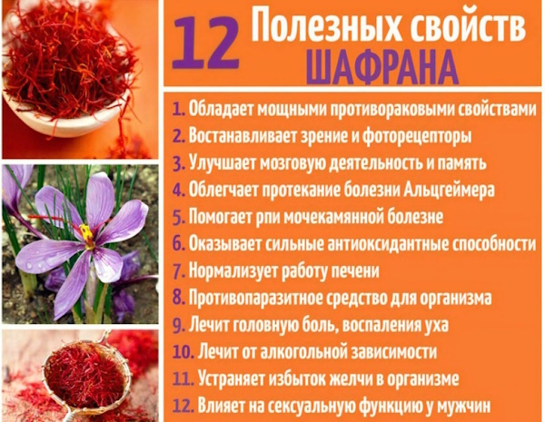 Шафран приправа. Куда добавлять, применение