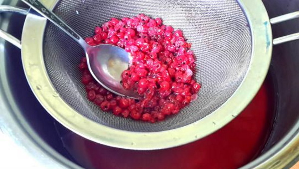 Соус из красной смородины на зиму для хранения. Рецепты к мясу