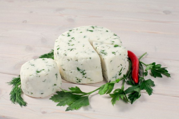 Сулугуни из коровьего молока в домашних условиях. Рецепт