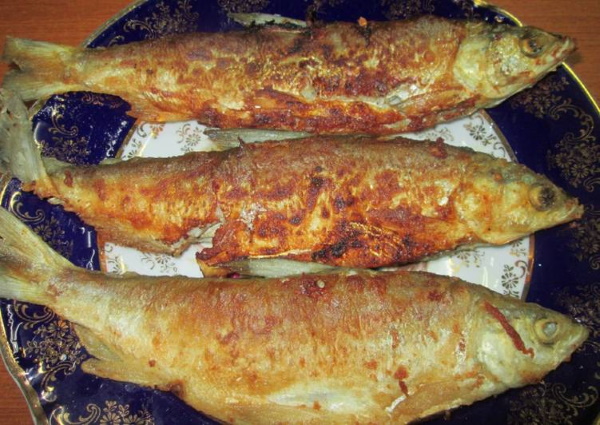 Сырок рыба. Рецепты приготовления в духовке, жареная на гриле, сковородке, соленая, сушеная