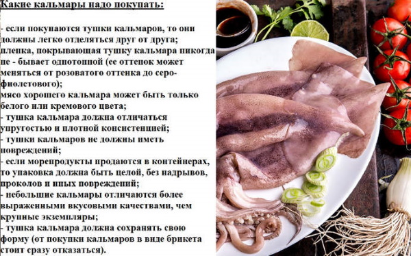 Тушка кальмара. Как готовить, варить, жарить. Рецепт с фото