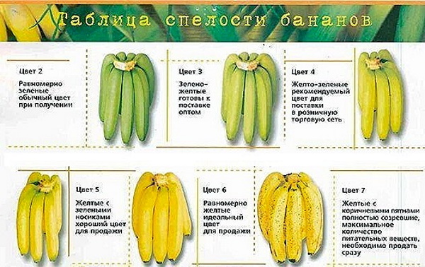 Жареные бананы на сковороде. Как жарить, рецепт с фото